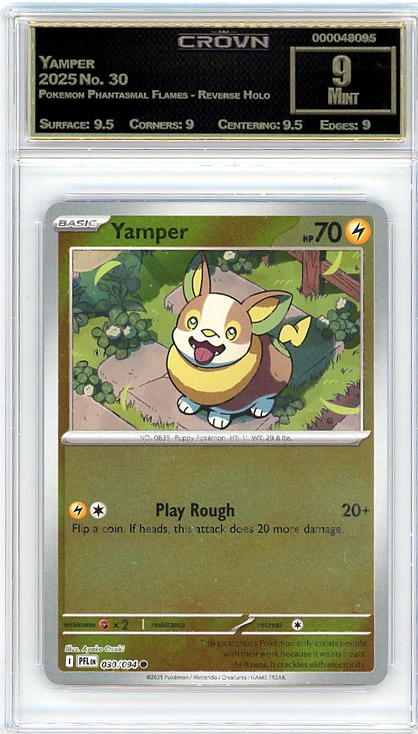 Yamper