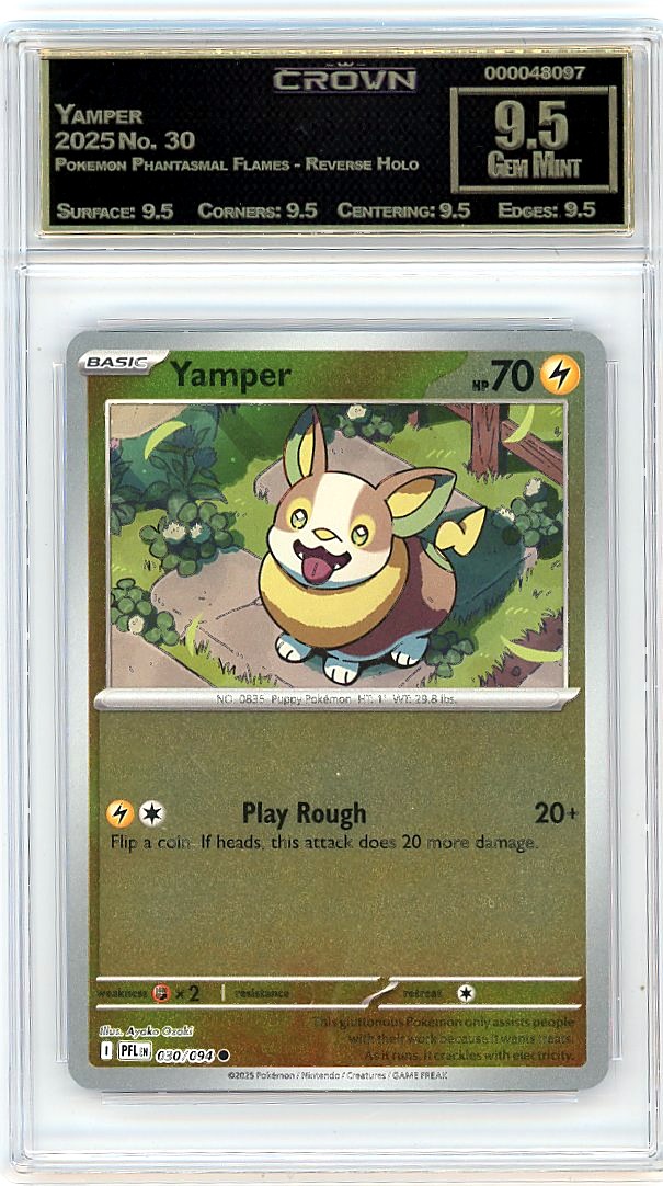 Yamper