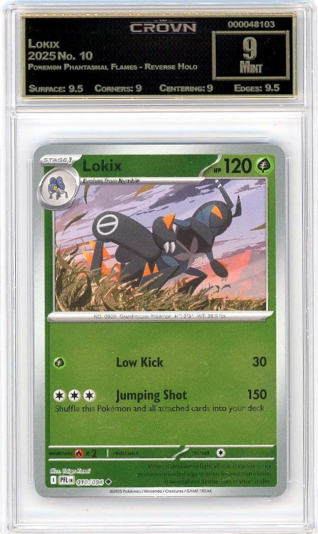 Lokix