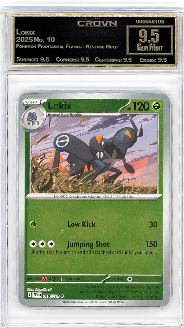 Lokix