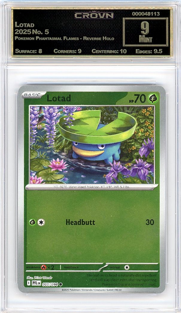 Lotad