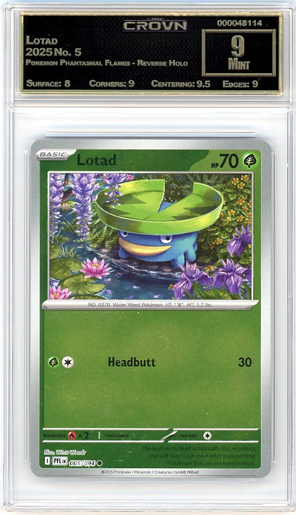 Lotad