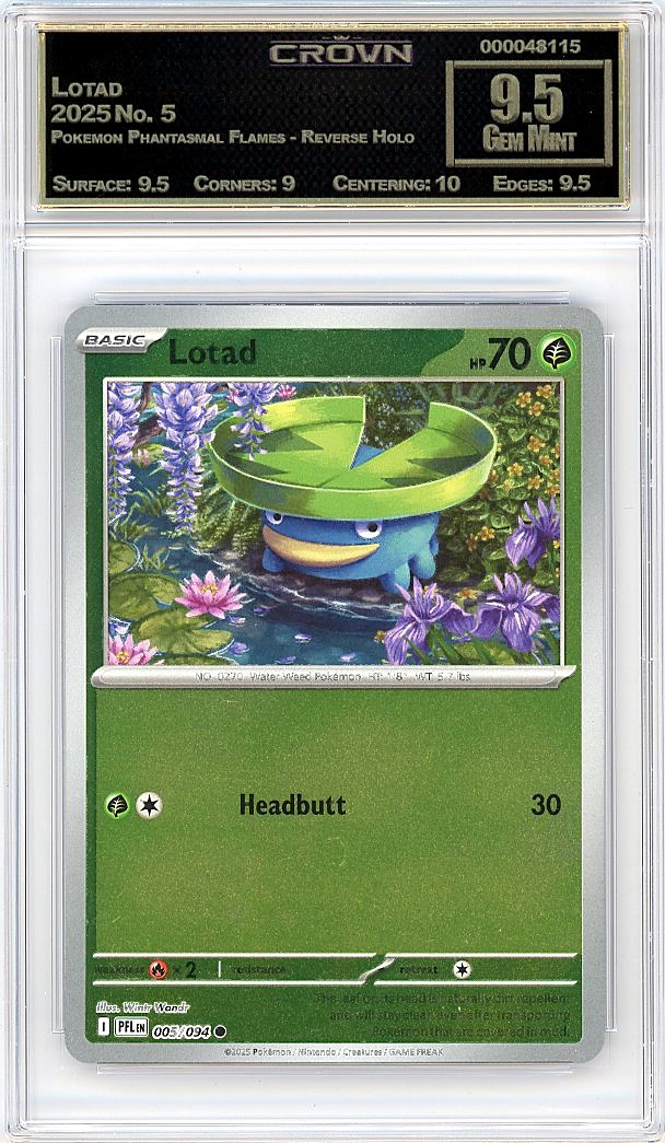 Lotad