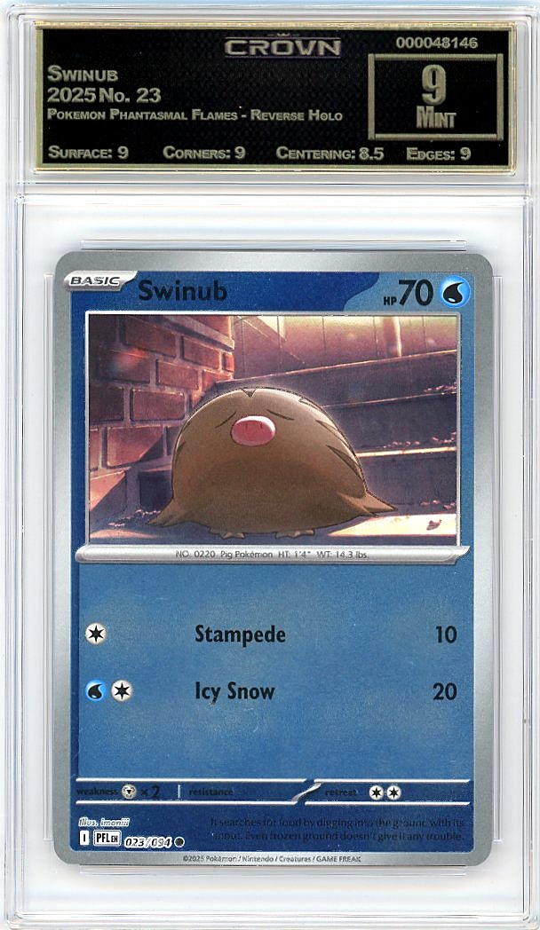 Swinub