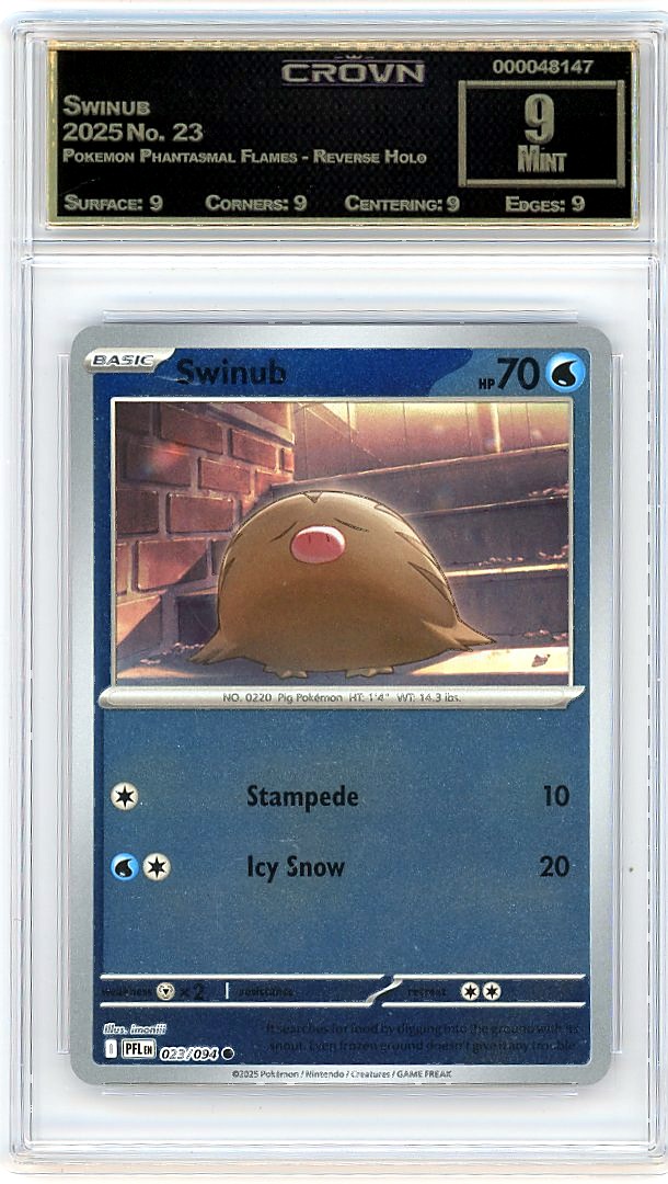 Swinub