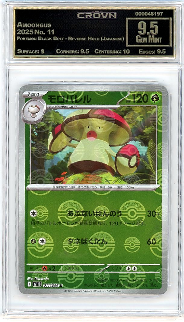 Amoongus