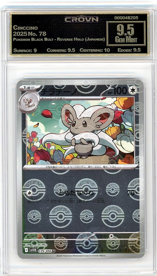 Cinccino