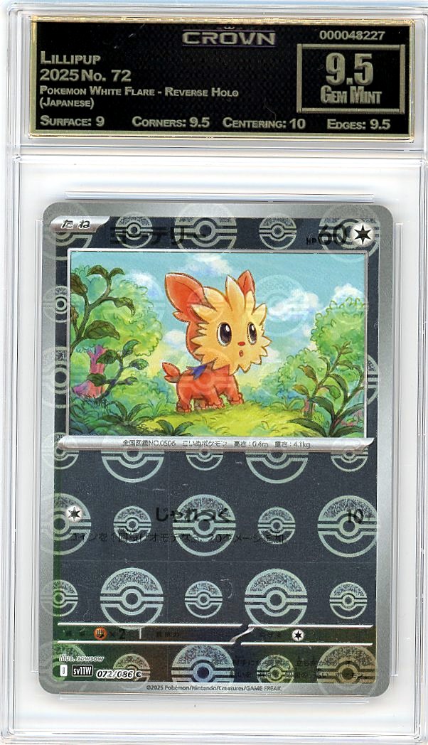 Lillipup