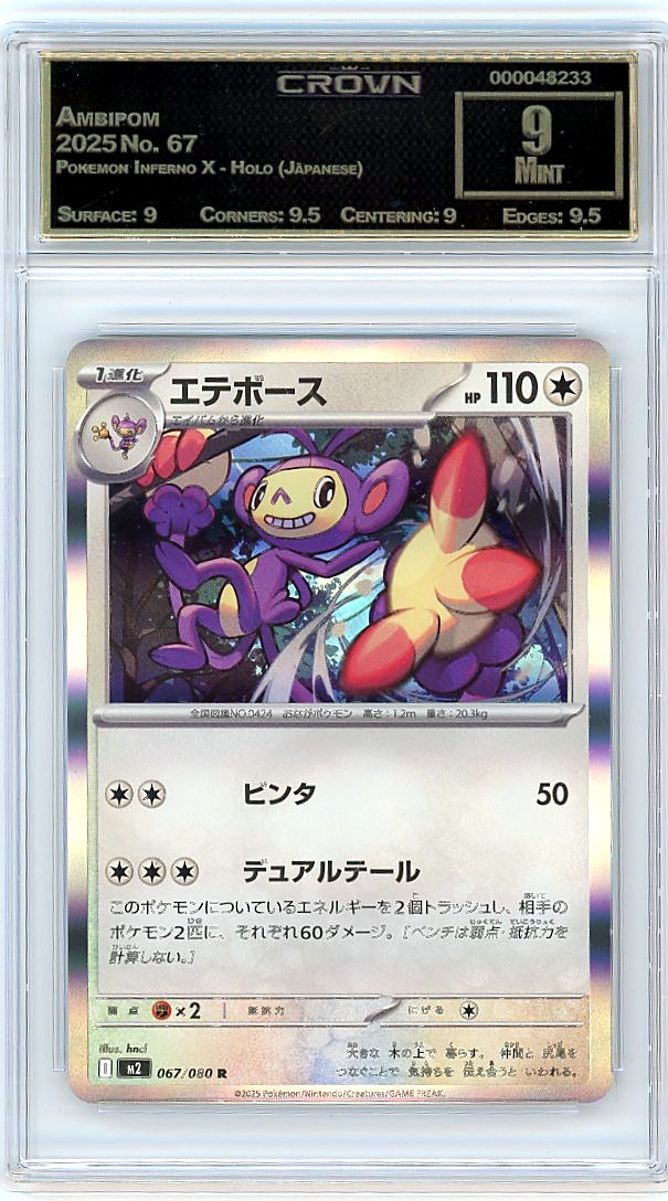 Ambipom