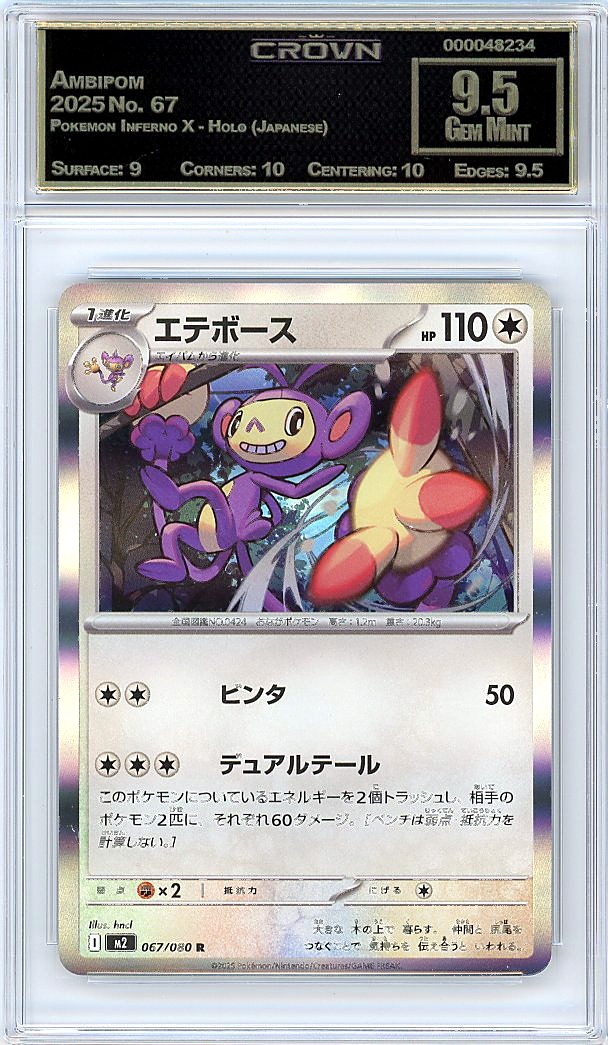 Ambipom