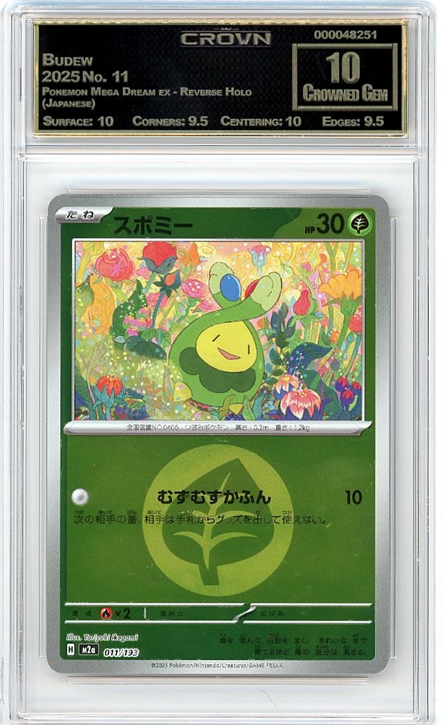 Budew