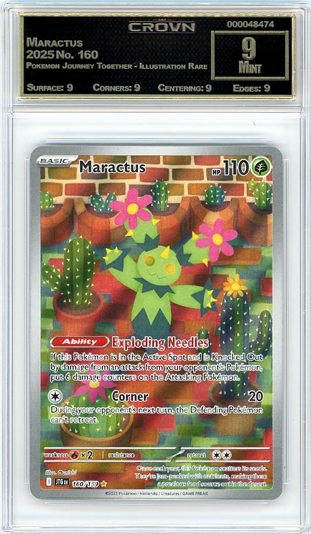 Maractus