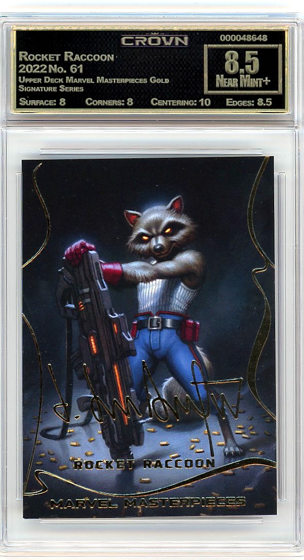 Rocket Raccoon