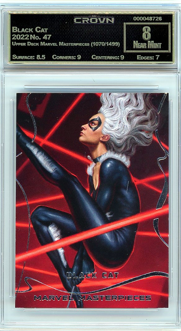 Black Cat