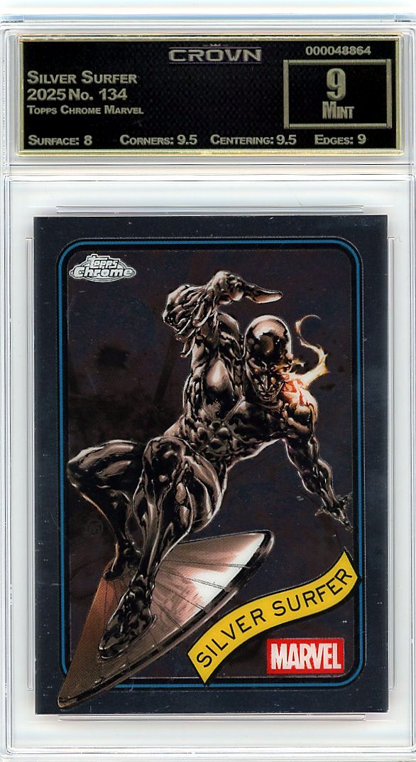 Silver Surfer