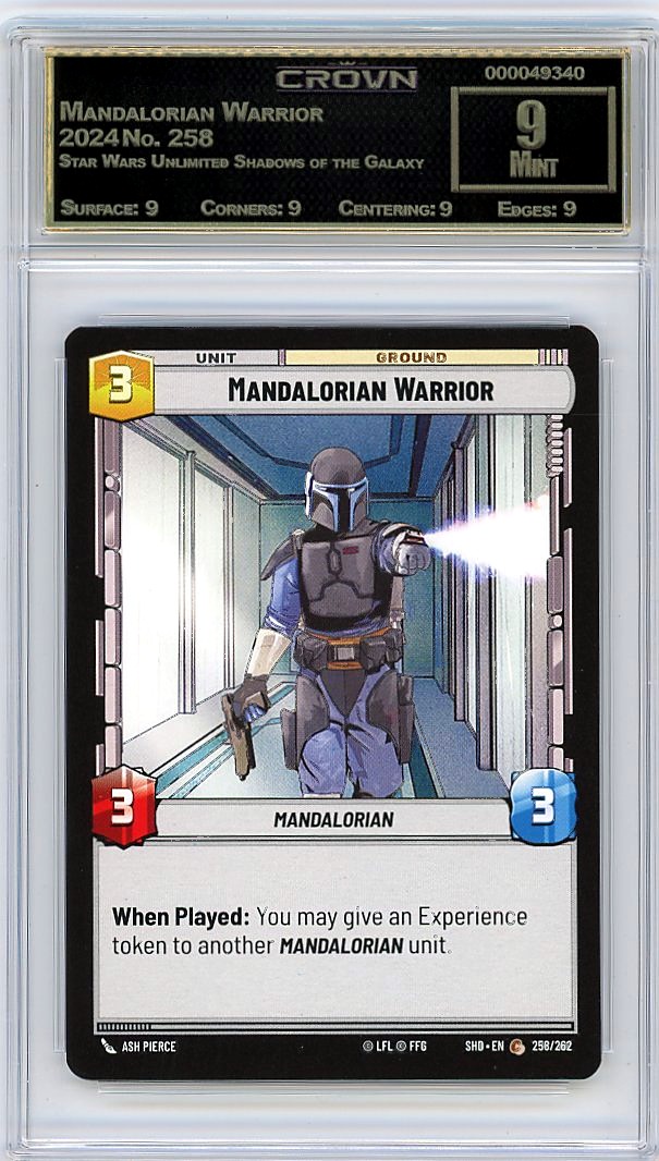 Mandalorian Warrior