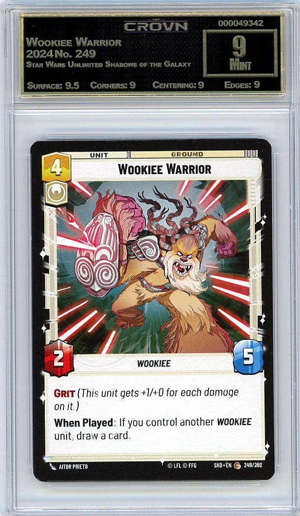 Wookiee Warrior