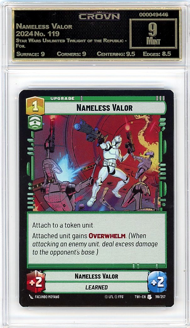 Nameless Valor