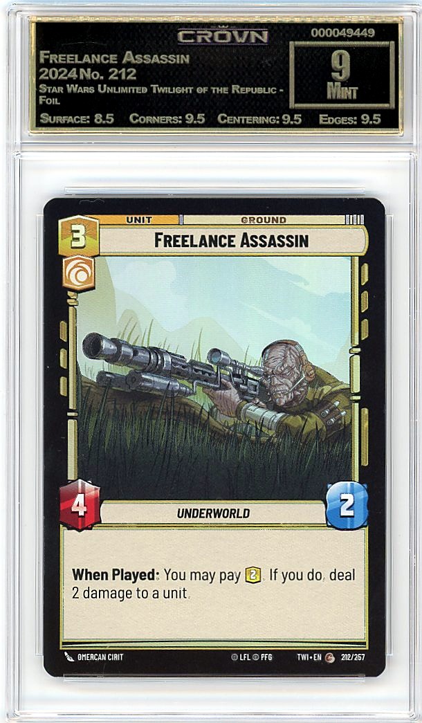 Freelance Assassin