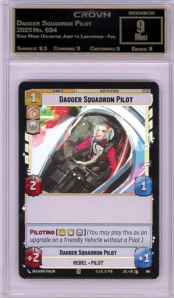 Dagger Squadron Pilot