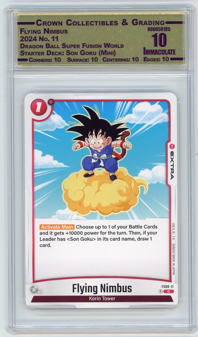 Flying Nimbus