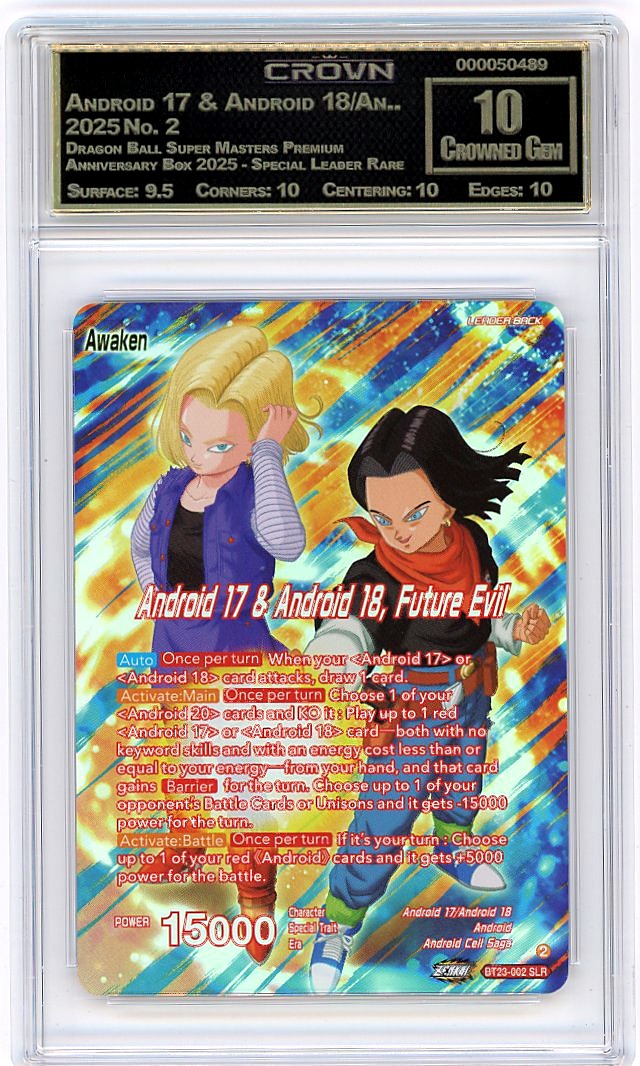 Android 17 & Android 18/An..