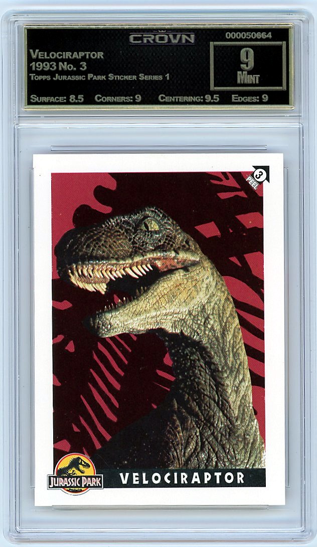 Velociraptor