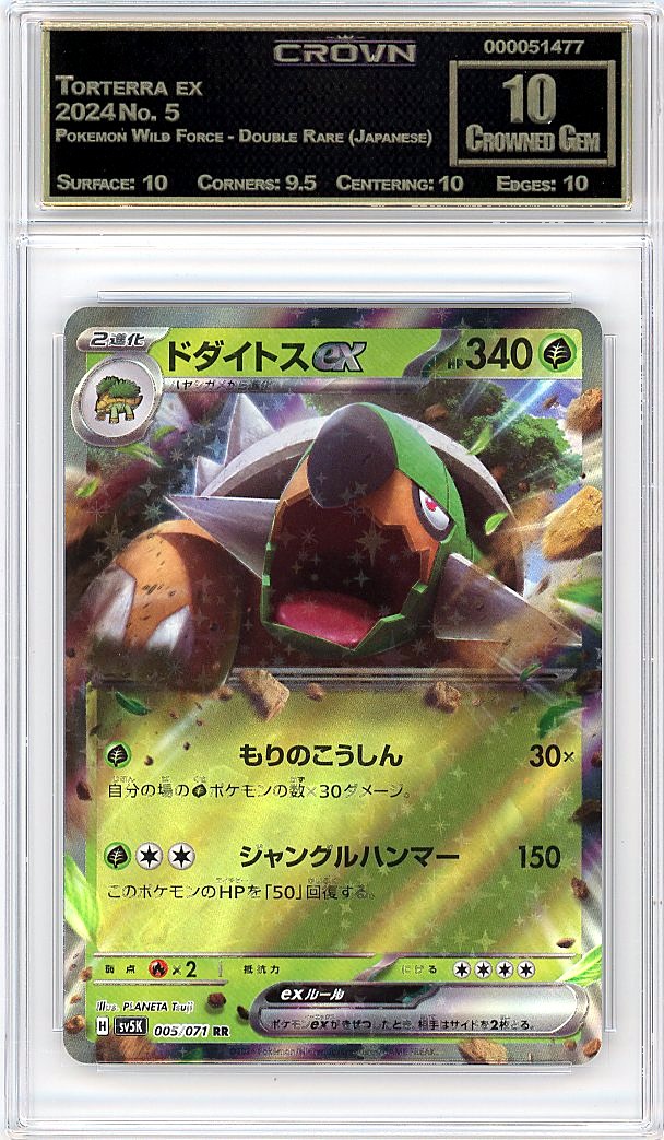 Torterra ex