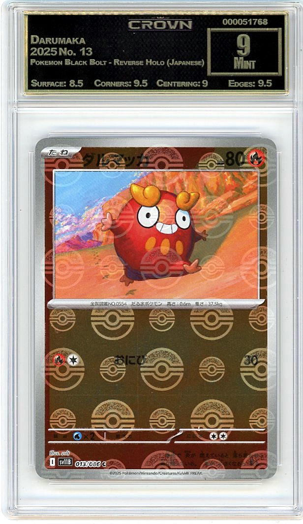 Darumaka