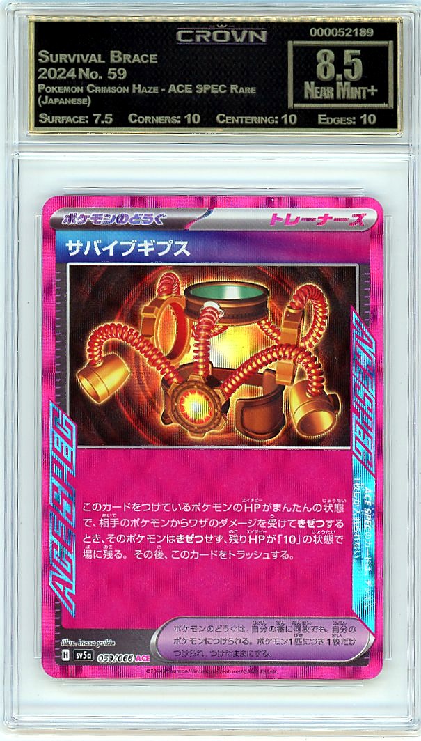 Survival Brace
