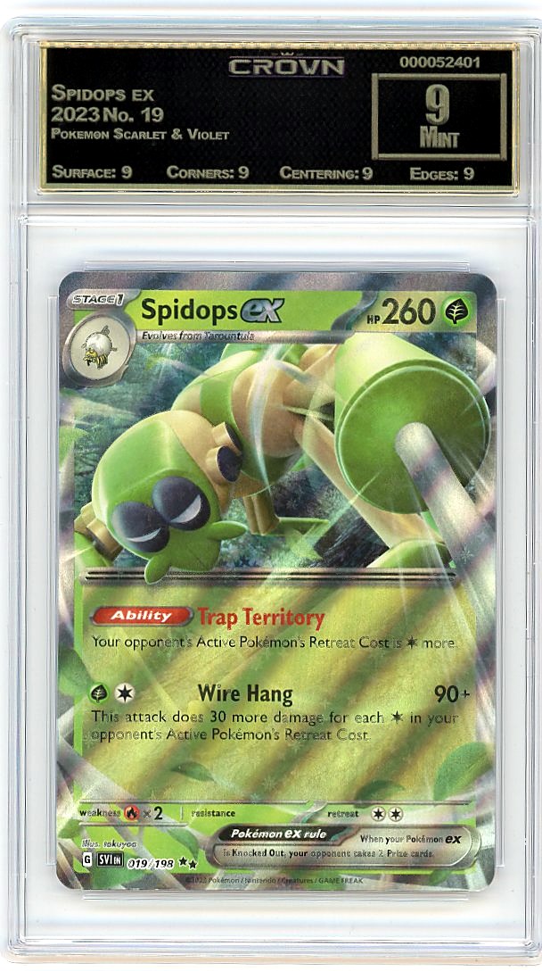 Spidops ex