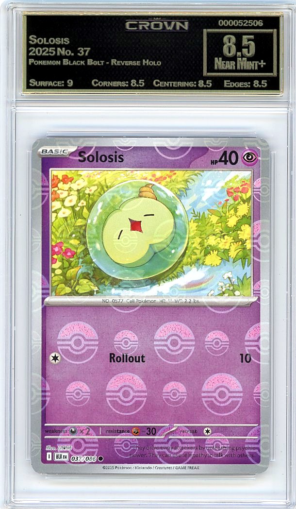 Solosis