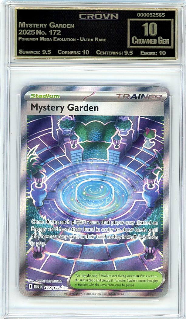 Mystery Garden