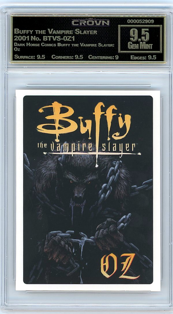 Buffy the Vampire Slayer