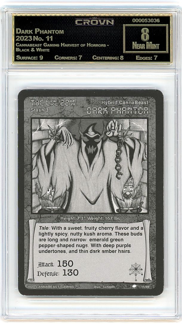 Dark Phantom