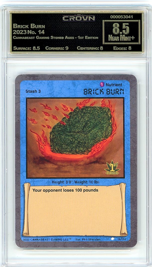 Brick Burn