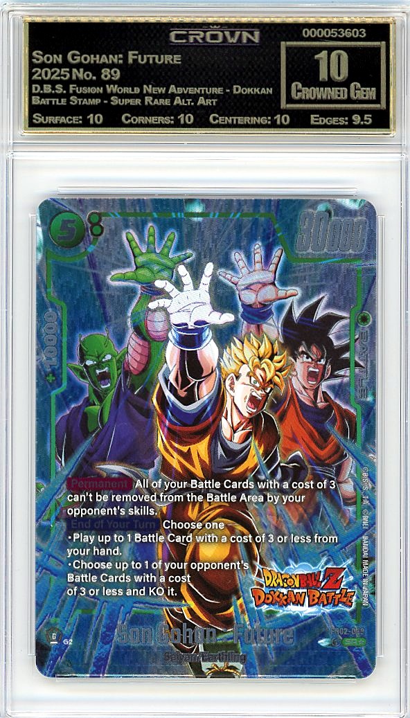 Son Gohan: Future