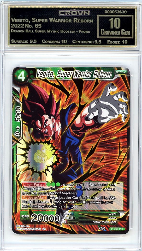 Vegito, Super Warrior Reborn