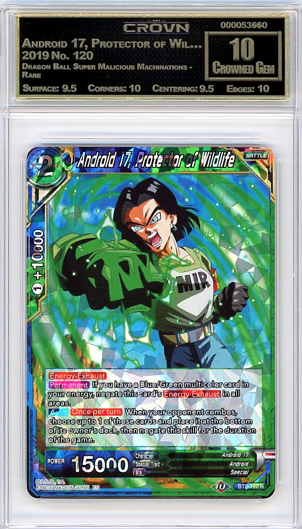Android 17, Protector of Wil…