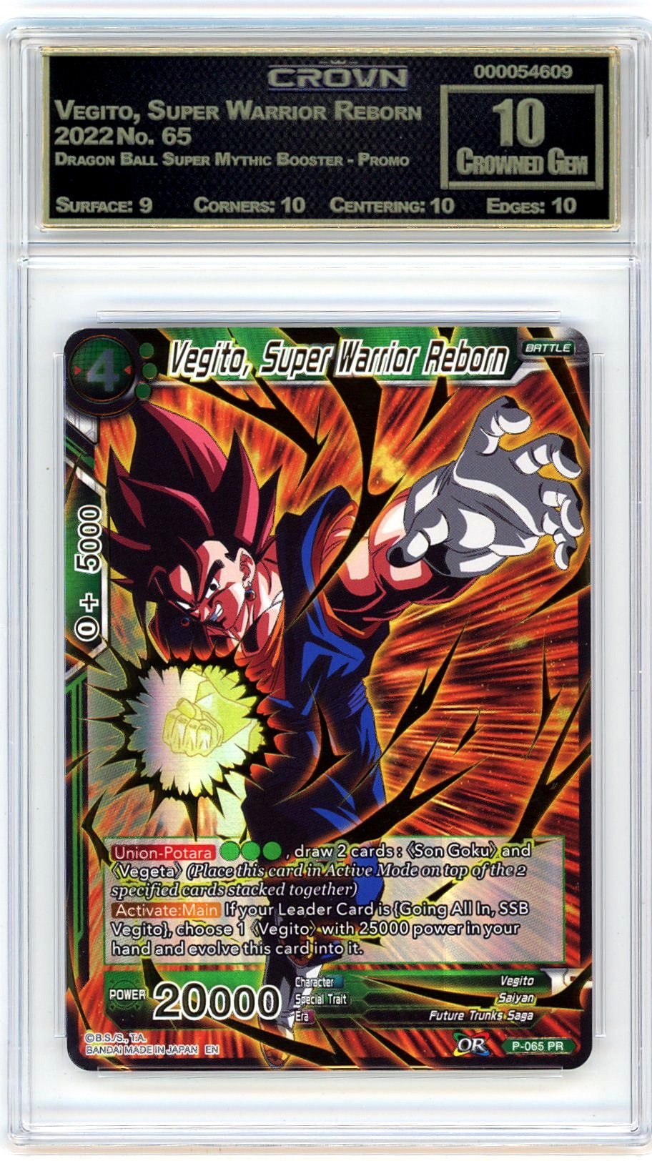 Vegito, Super Warrior Reborn
