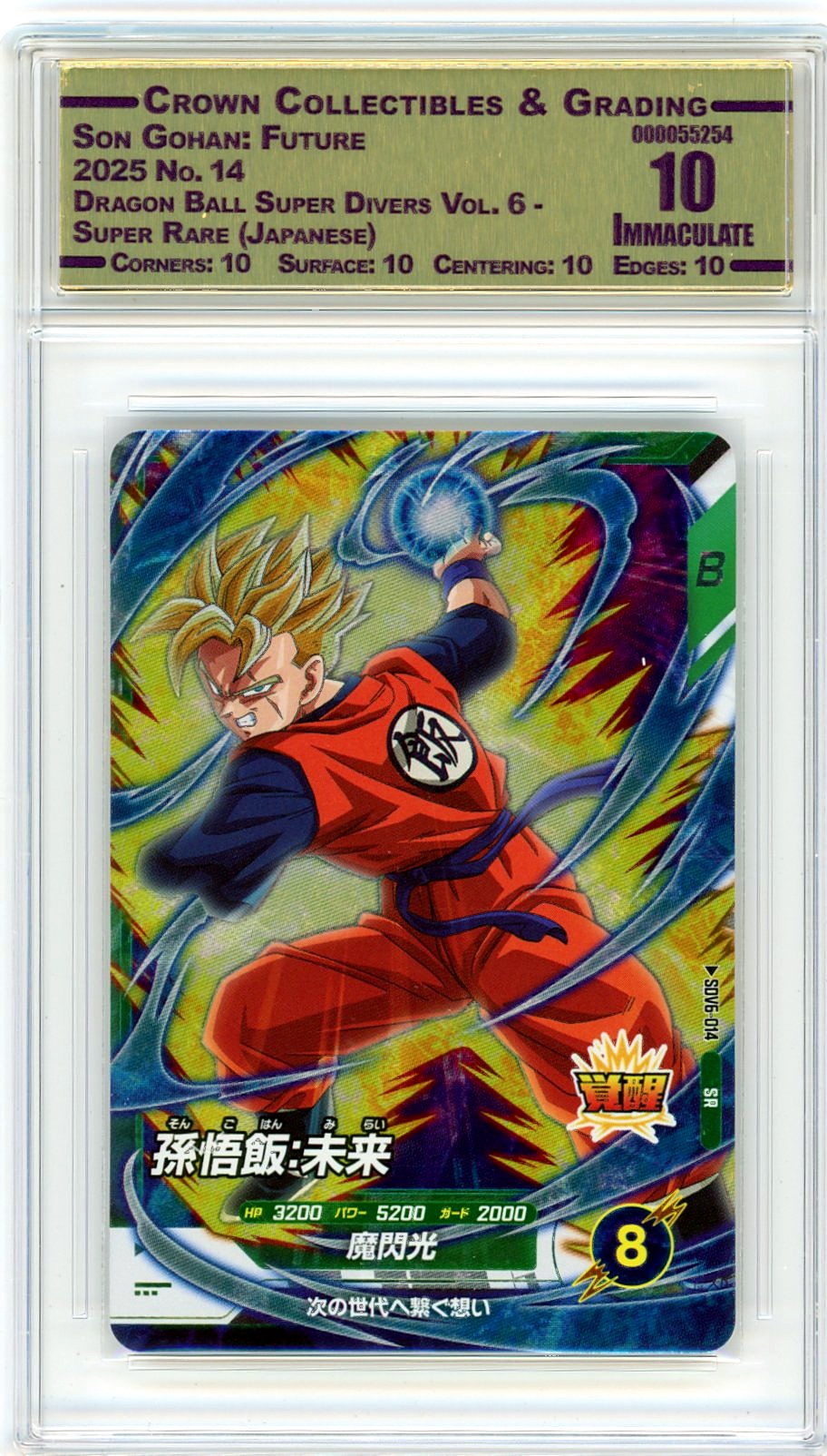 Son Gohan: Future