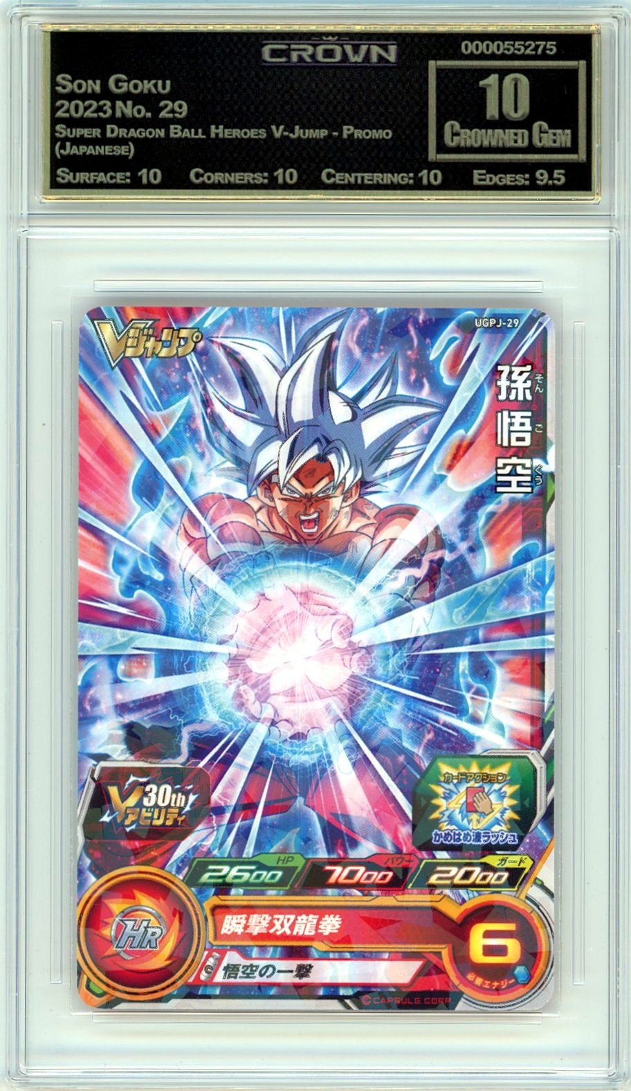Son Goku
