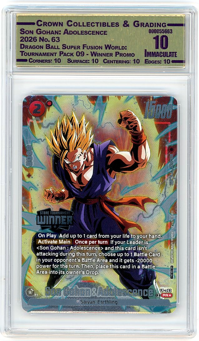 Son Gohan: Adolescence