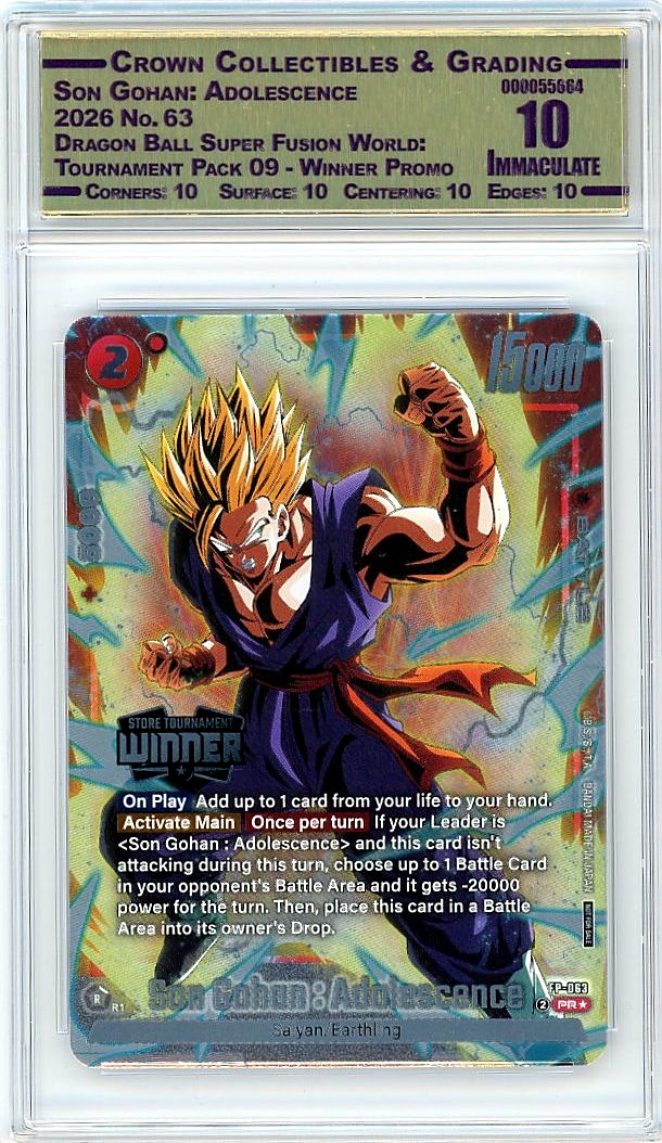 Son Gohan: Adolescence