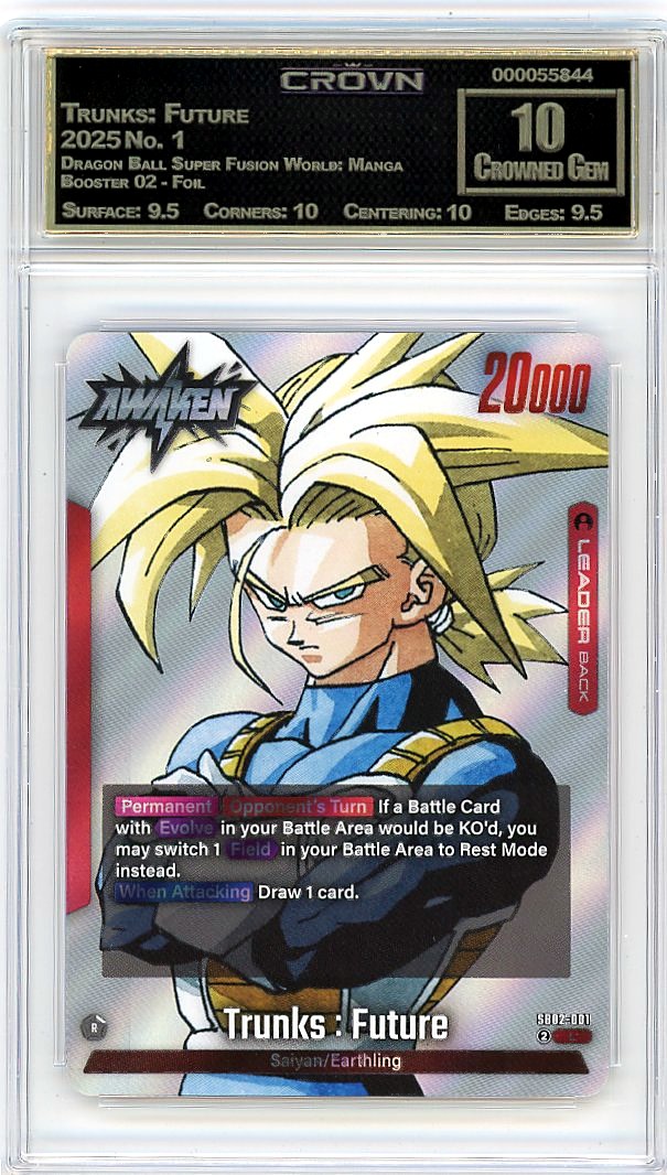 Trunks: Future