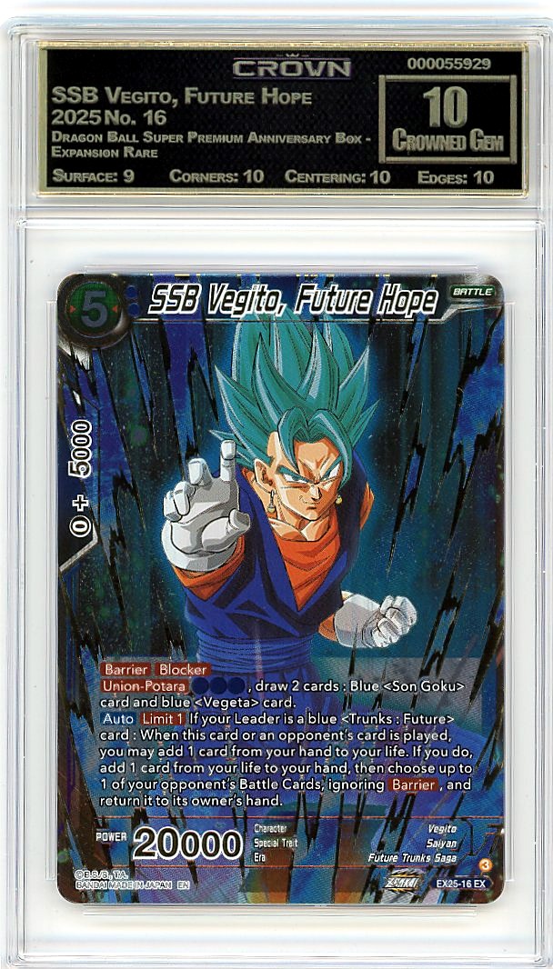 SSB Vegito, Future Hope