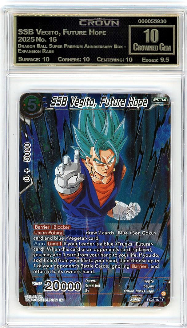 SSB Vegito, Future Hope