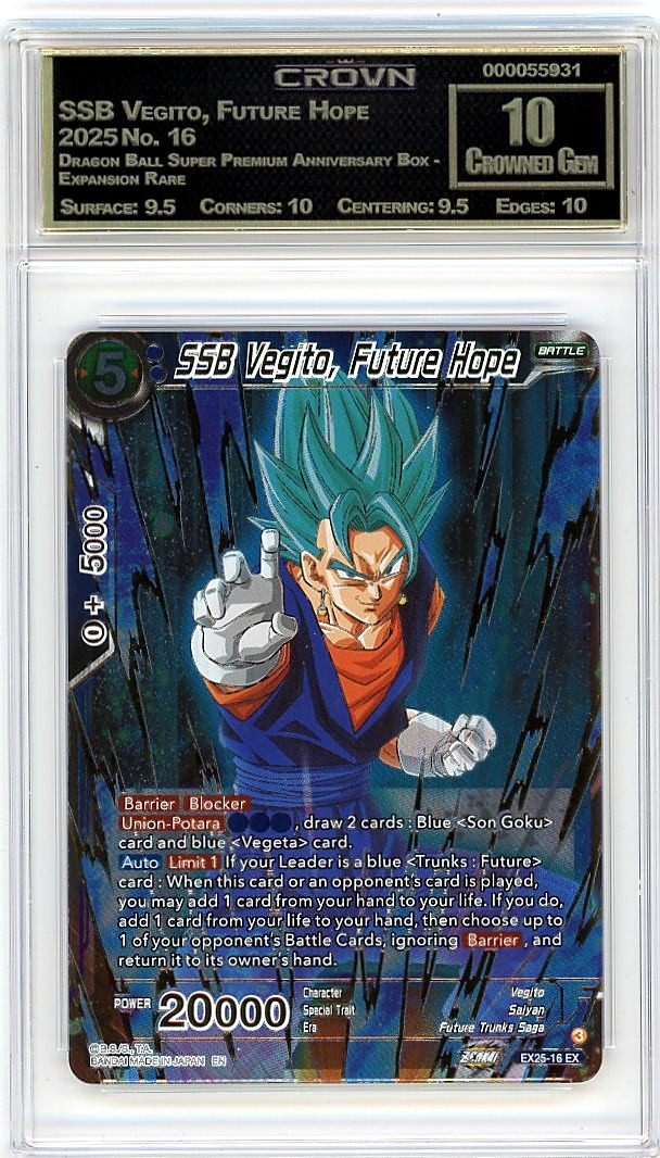 SSB Vegito, Future Hope