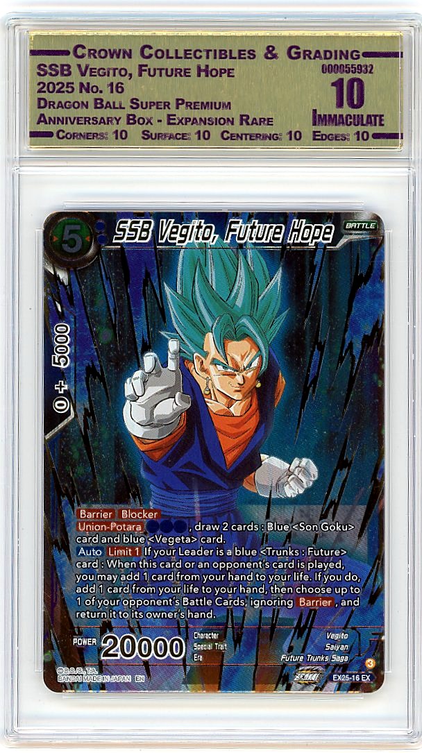 SSB Vegito, Future Hope