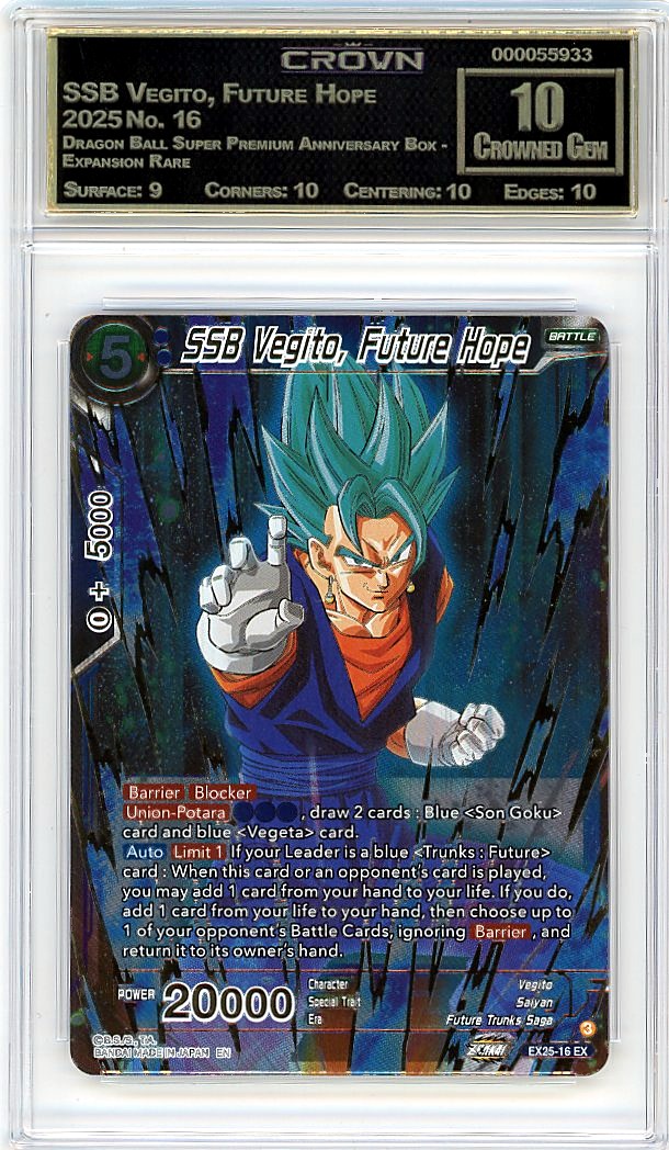 SSB Vegito, Future Hope